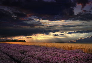 油画般风景摄影 当镜头遇见画布的诗意